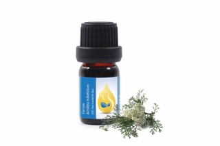Yarrow - 100% pure and natural essential oil (10ml) (Achillea millefolium)