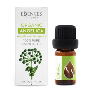 Organic Angelica - 100% pure and natural essential oil (5ml)