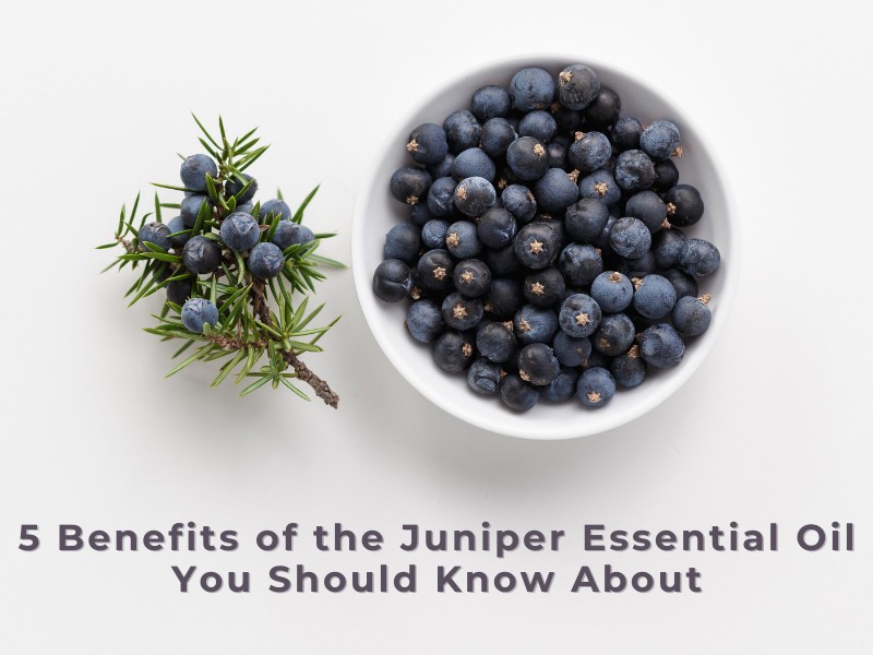 5 Benefits of the Juniper Essential Oil You Should Know About